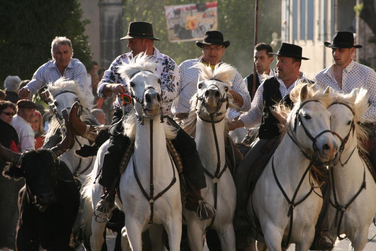 Gite De Vacances En Camargue ☆☆Nn Vauvert Luaran gambar